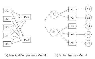 Wild of Unsupervised Learning